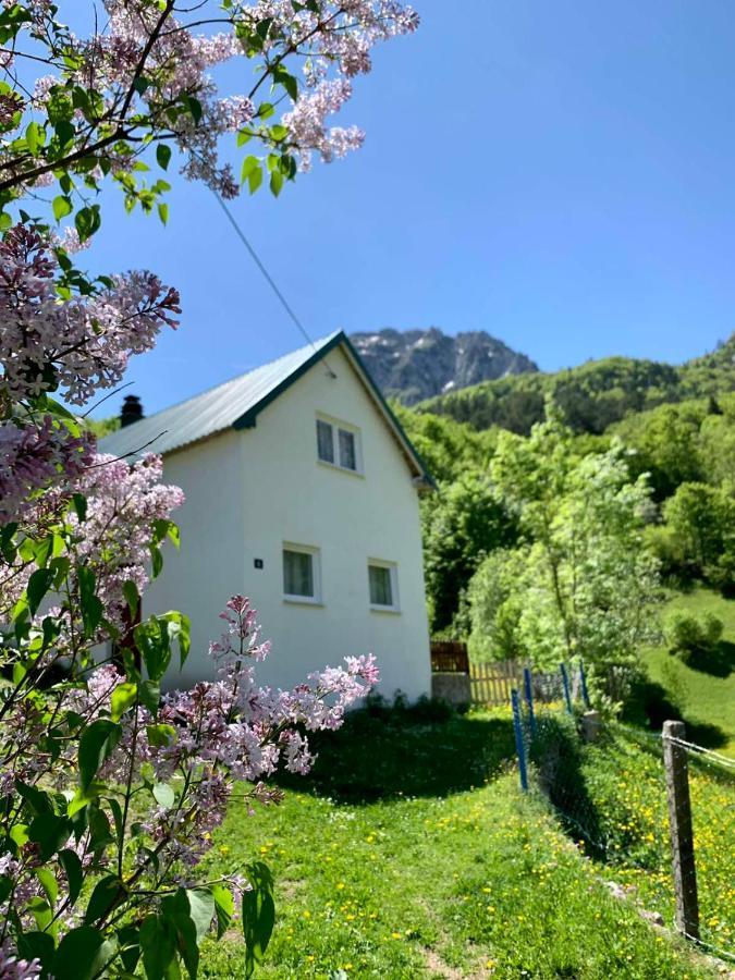 Maglic Βίλα Plužine Εξωτερικό φωτογραφία