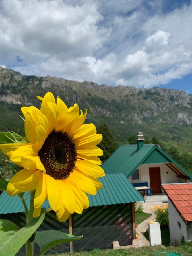 Maglic Βίλα Plužine Εξωτερικό φωτογραφία